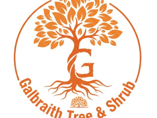 emergency-tree-removal-for-fast-and-reliable-tree-care