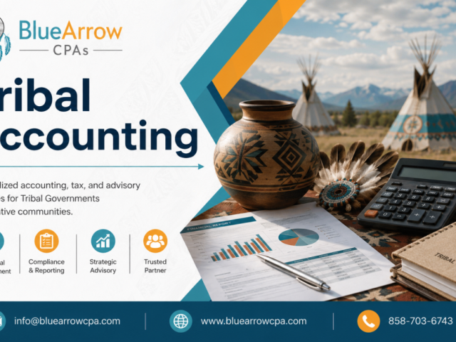 professional-tribal-accounting-services-for-your-organization