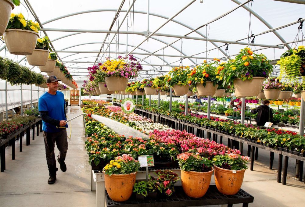 buy-garden-plants-in-pennsylvania-that-are-actually-grown-here-big-0
