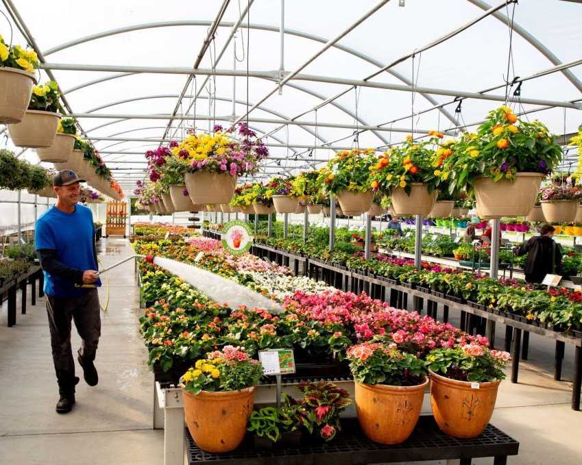 buy-garden-plants-in-pennsylvania-that-are-actually-grown-here
