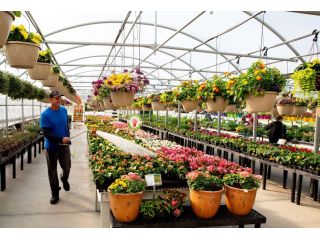 buy-garden-plants-in-pennsylvania-that-are-actually-grown-here-small-0