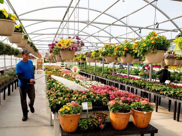 buy-garden-plants-in-pennsylvania-that-are-actually-grown-here
