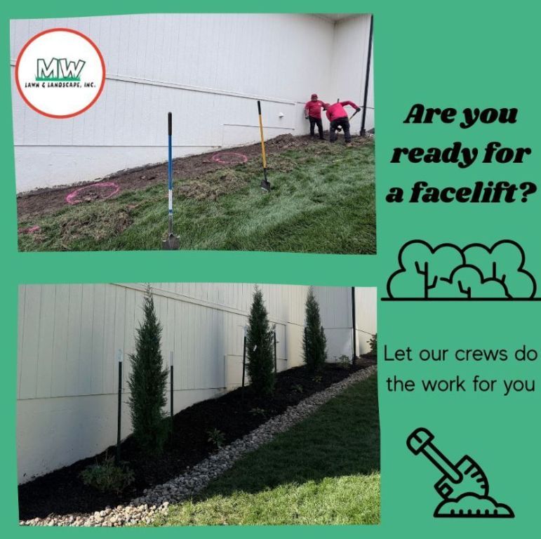 mw-lawn-landscape-lawn-care-lawn-fertilization-big-1
