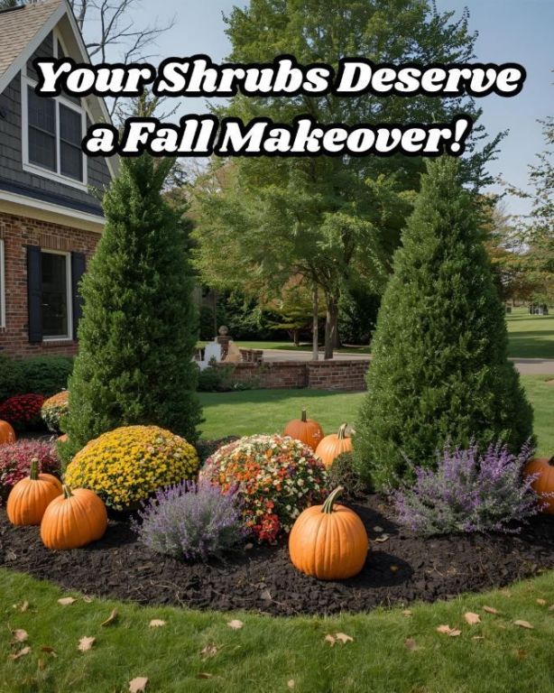 mw-lawn-landscape-lawn-care-lawn-fertilization-big-2