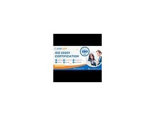 iso-45001-consultants-services-in-florida-small-0
