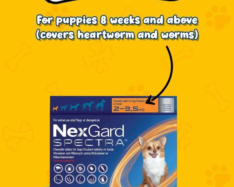 buy-nexgard-spectra-for-dogs-flea-tick-worm-protection