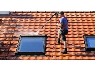 best-roof-cleaning-service-in-willow-spring-small-0