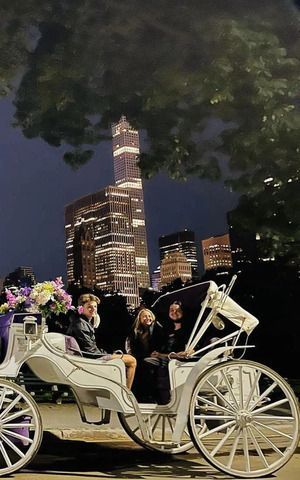 moonlight-horse-carriage-ride-big-0