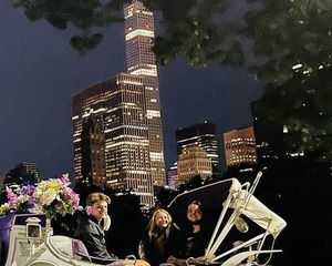 moonlight-horse-carriage-ride