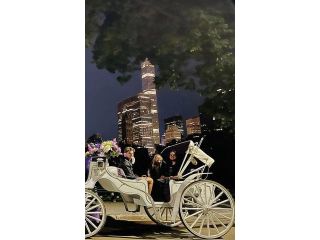 moonlight-horse-carriage-ride-small-0