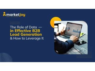 professional-b2b-lead-generation-services-small-0