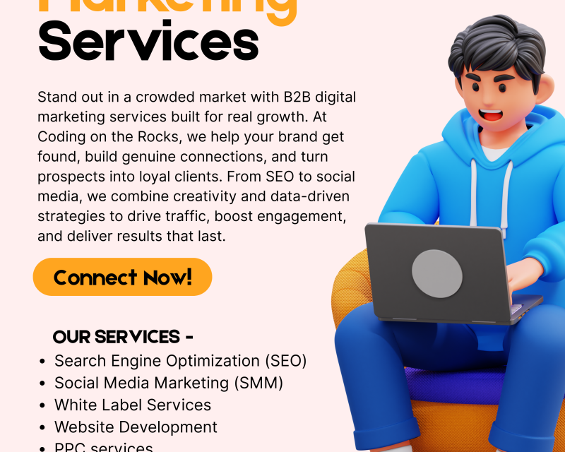 get-ppc-seo-web-dev-services-coding-on-the-rocks