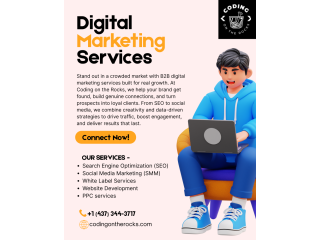 get-ppc-seo-web-dev-services-coding-on-the-rocks-small-0