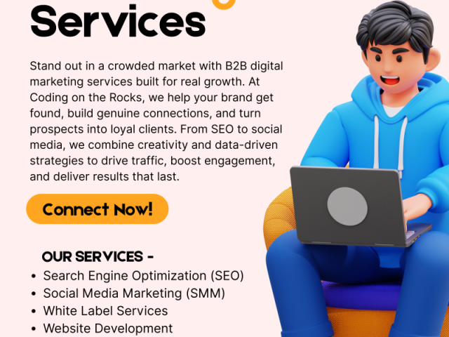 get-ppc-seo-web-dev-services-coding-on-the-rocks