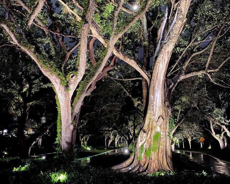 outdoor-lighting-in-miami