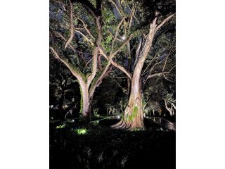 outdoor-lighting-in-miami-small-0