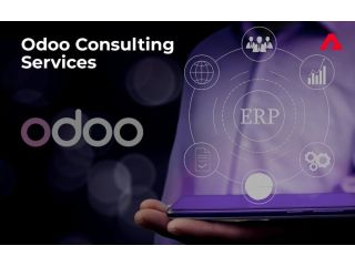 custom-odoo-development-services-to-boost-business-efficiency-small-0