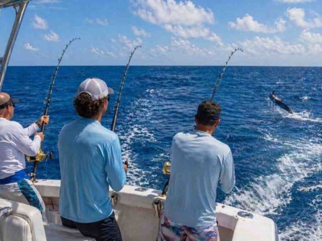 affordable-private-offshore-fishing-charter-vero-beach