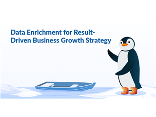 optimize-data-enrichment-solutions-for-better-leads-small-0