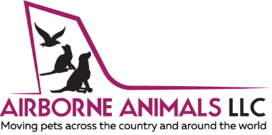 pet-shippers-in-the-usa-airborne-animals-safe-pet-transport-usa-big-0