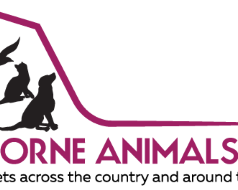 pet-shippers-in-the-usa-airborne-animals-safe-pet-transport-usa