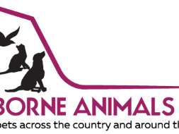 pet-shippers-in-the-usa-airborne-animals-safe-pet-transport-usa