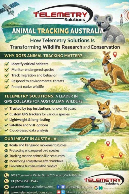 animal-tracking-australia-for-smart-wildlife-technology-big-0