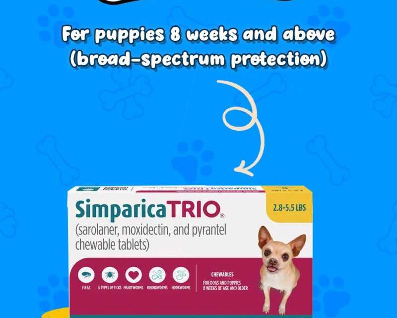 buy-simparica-trio-for-dogs