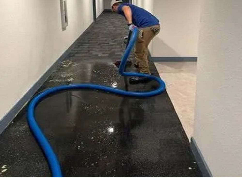 rapid-recovery-team-tampa-fast-property-restoration