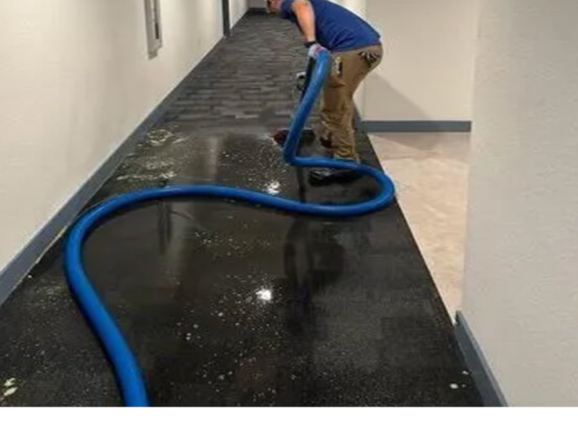 rapid-recovery-team-tampa-fast-property-restoration