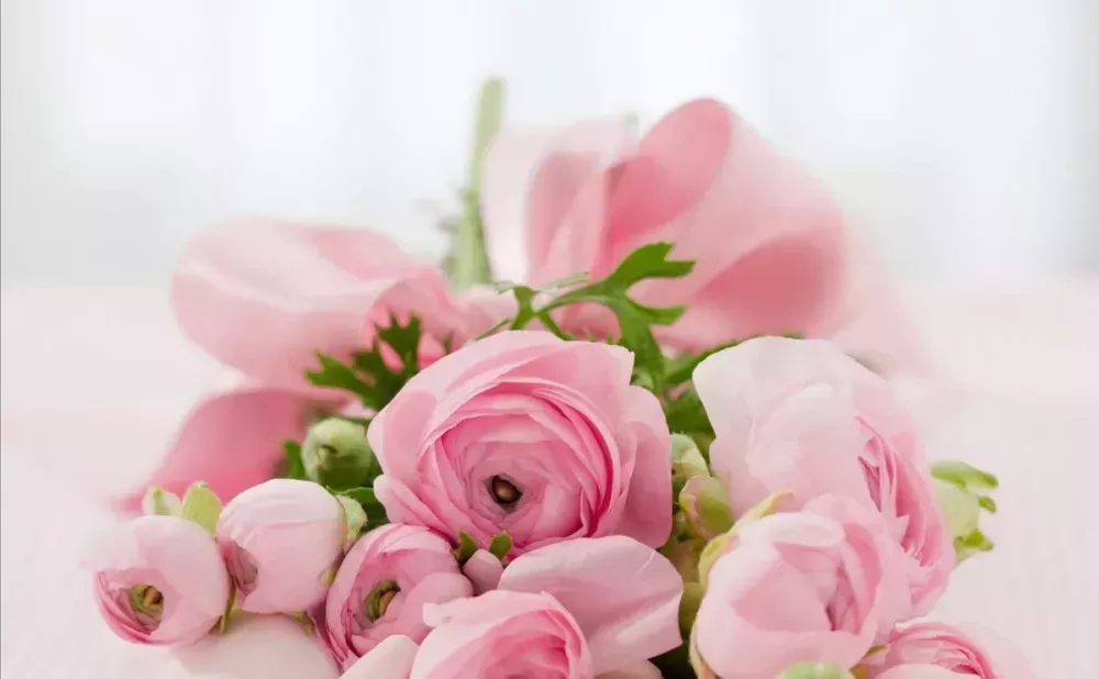 everyday-flowers-and-balloons-in-palo-alto-today-big-0