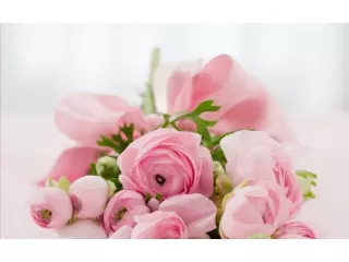 everyday-flowers-and-balloons-in-palo-alto-today-small-0