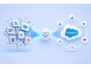 unlock-business-efficiency-with-salesforce-customization-services-small-0