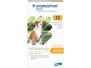 buy-interceptor-plus-for-dogs-small-0