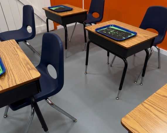 dyslexia-schools-in-mississippi-for-struggling-young-readers