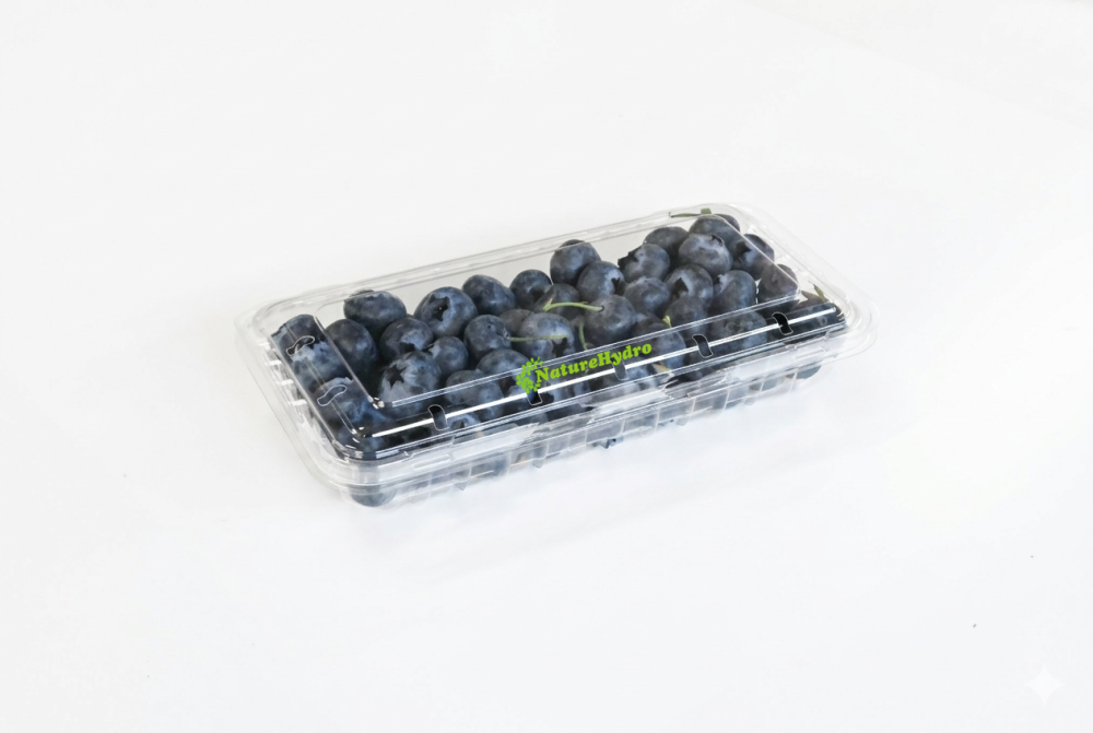 eco-friendly-naturehydro-fruit-packaging-big-1