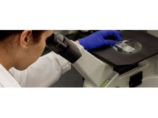 biohazard-cleanup-new-york-small-0