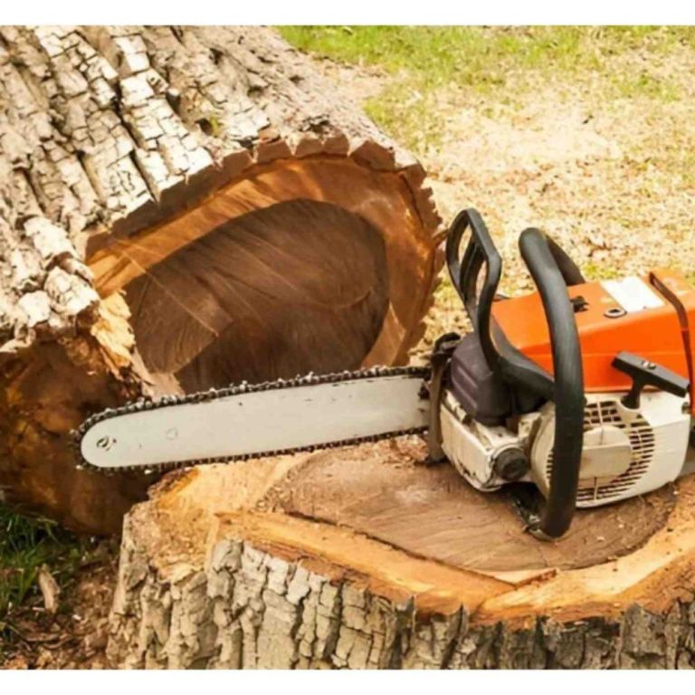 tree-removal-service-chilmark-big-0