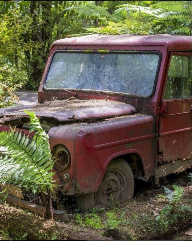houston-junk-truck-buying-made-simple-big-0