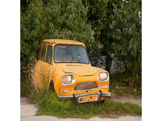 instant-junk-car-offers-in-spring-small-0