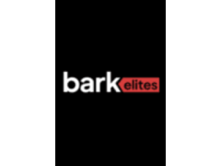 custom-logo-design-services-bark-elites-small-0