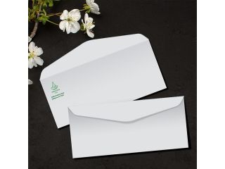 order-10-envelope-printing-from-printmagic-small-0