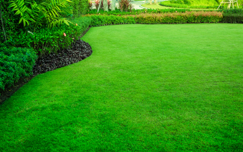 best-synthetic-grass-orange-county-professional-artificial-turf-big-2