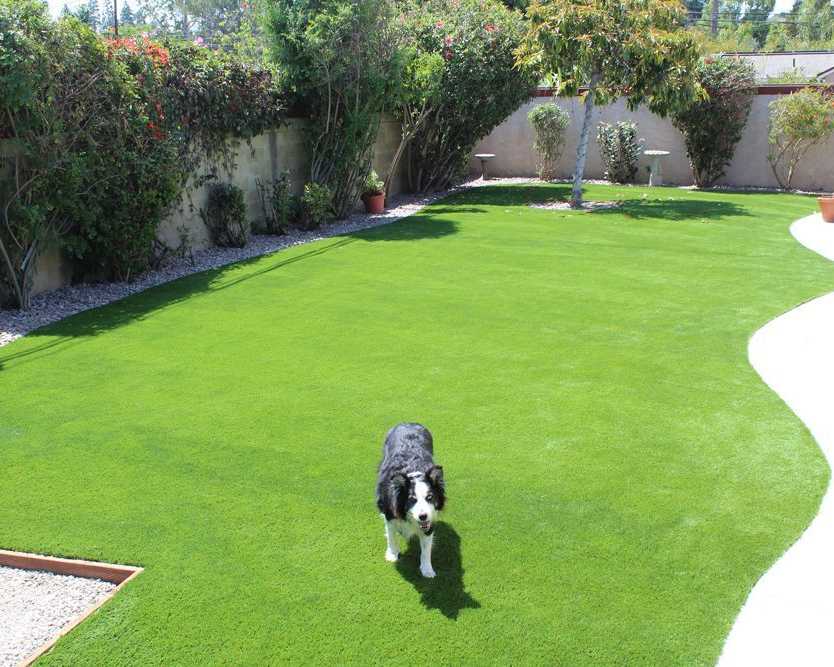 professional-pet-turf-experts-in-orange-county
