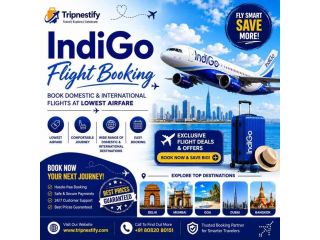 indigo-flight-booking-lowest-airfare-on-domestic-small-0