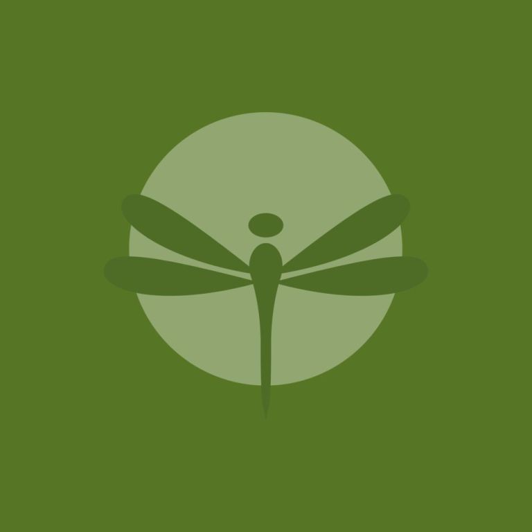 the-dragonfly-nest-llc-big-0