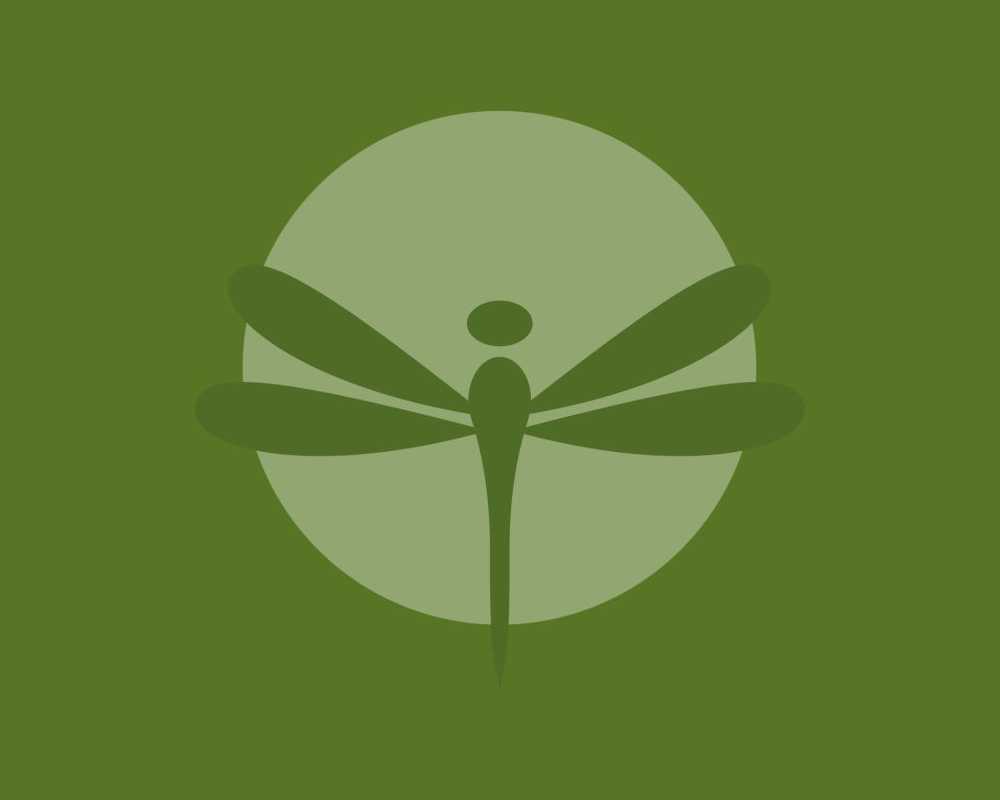 the-dragonfly-nest-llc