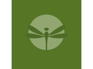 the-dragonfly-nest-llc-small-0