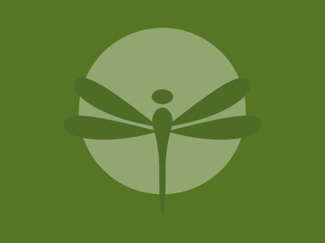 the-dragonfly-nest-llc