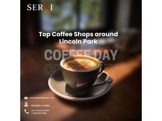top-chicago-coffee-shops-lincoln-park-chicago-il-small-0